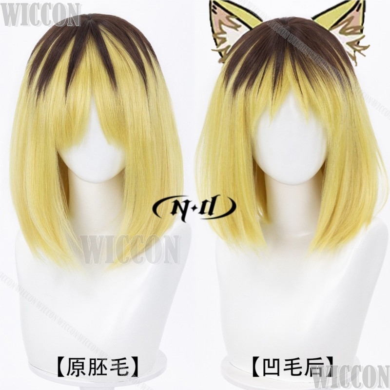 Yanineko Hamenko 2026 Kostum C - Anime Cosplay Events 2026 ulasan dan harga